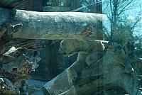 DSC_0277.jpg